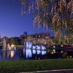 Christmas at the Princess - Lagoon Lights Swan Display